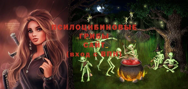 мдпв Бородино