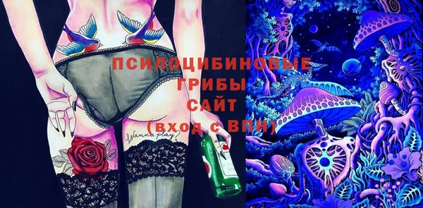 мдпв Бородино