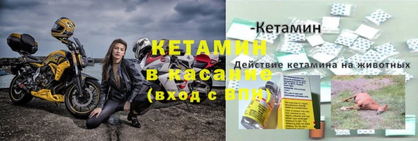 мдпв Бородино